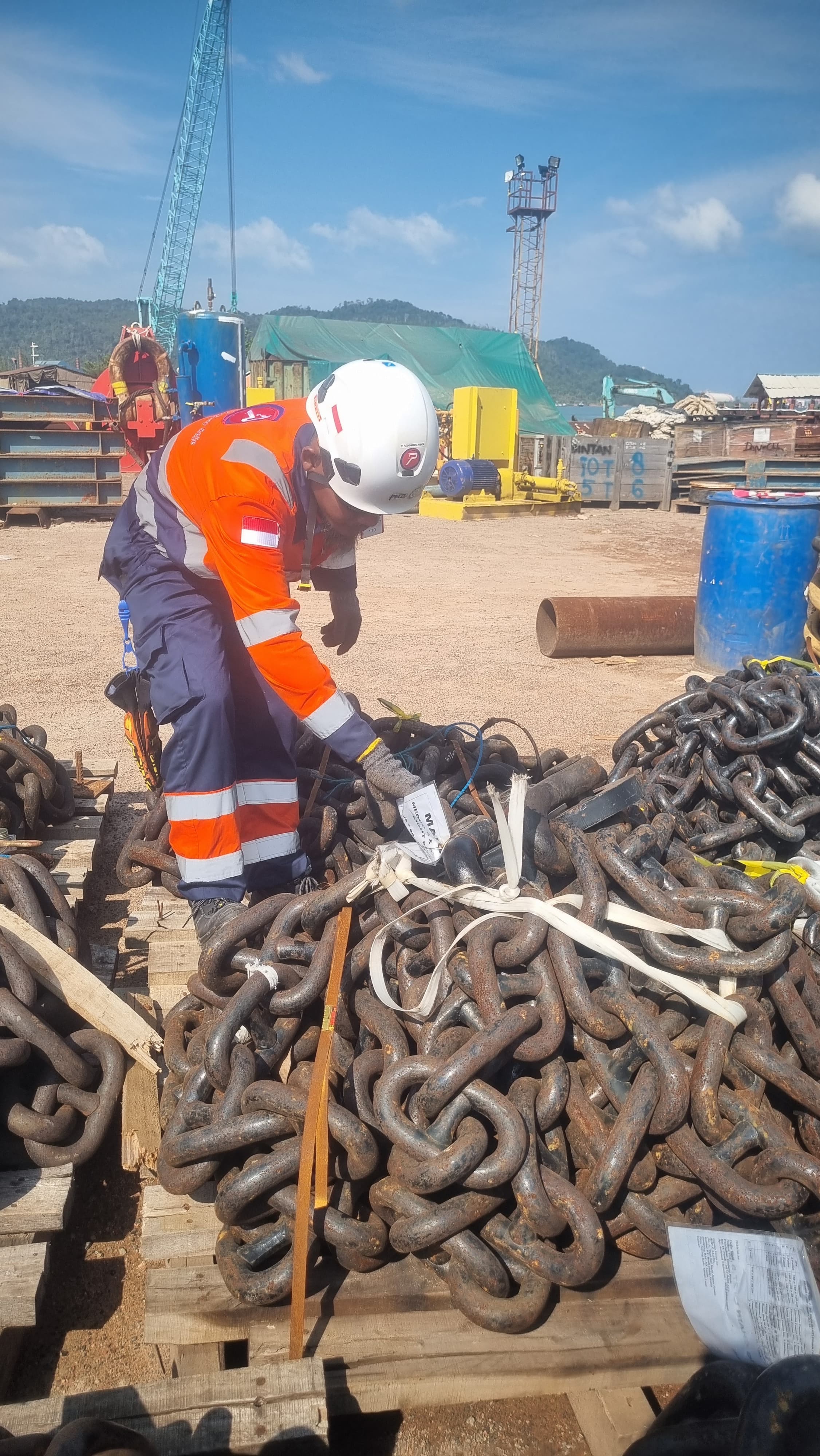 Bulk Cargo Transport